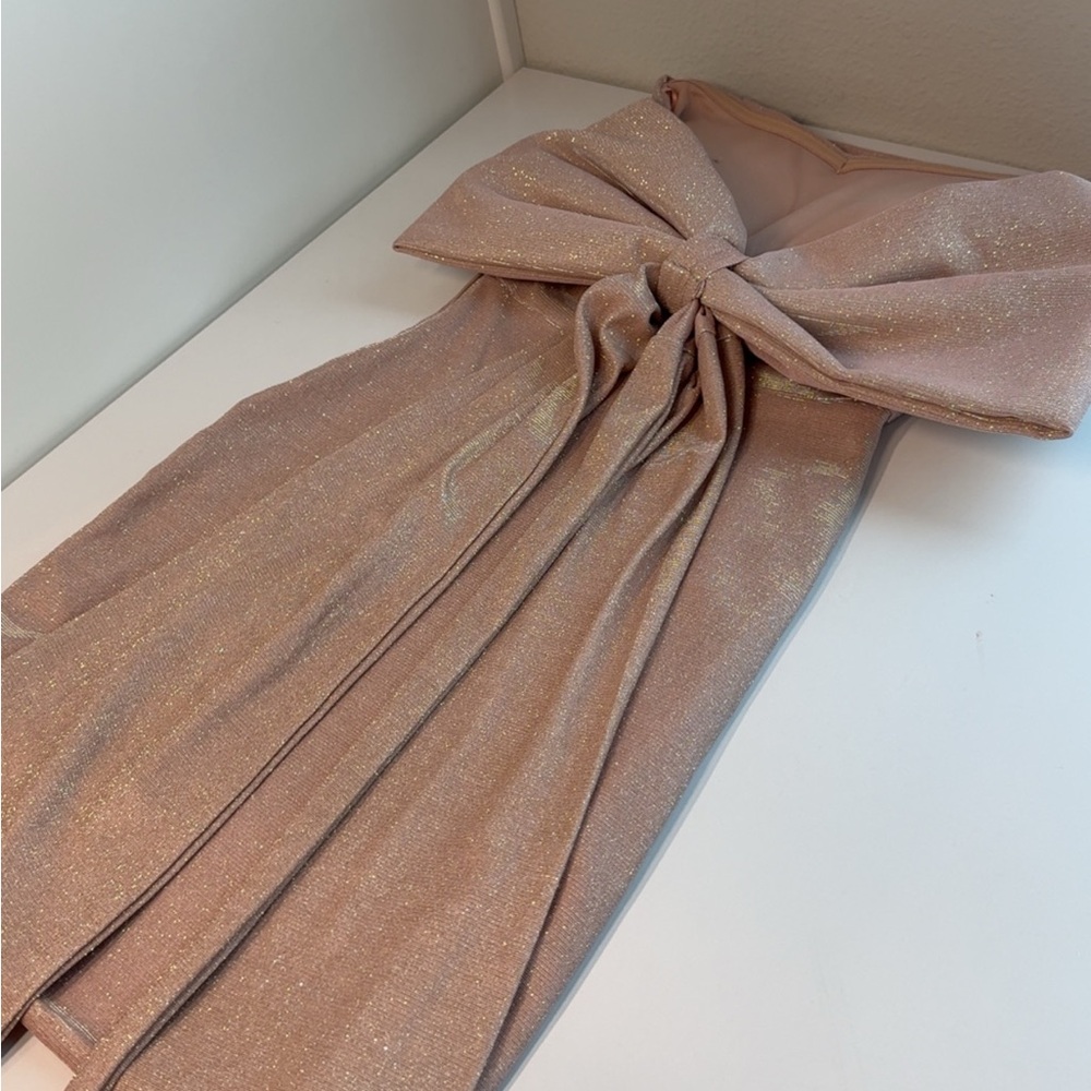 Windsor Shimmering Pink Strapless Dress